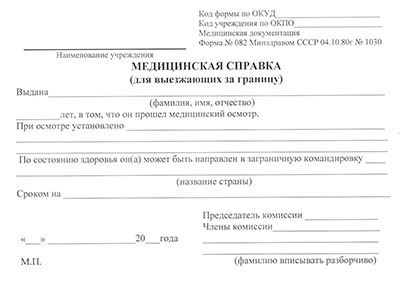 Справка для выезжающих за границу (форма 082/у) в Челябинске